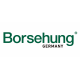 Borsehung